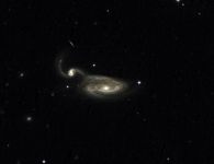 NGC5395 / Arp84 die Graureihergalaxie im Sternbild Jagdhunde. Aufgenommen mit dem 700/6400mm Cassegrain der Sternwarte und Sony A7S