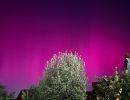 Polarlichter in Flo&szlig; (1)